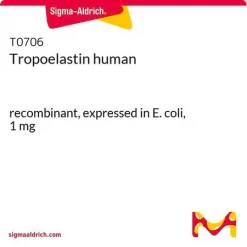 Тропоэластин человеческий рекомбинантный, экспрессированный в E. coli, 1 мг