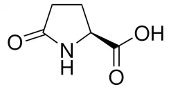 L-Пироглутаминовая кислота, BioXtra