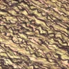 Контрольные слайды Elastic TISSUE-TROL™, срез кожи человека с эластическими волокнами