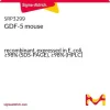 GDF-5 мышиный рекомбинантный, экспрессирован в E. coli