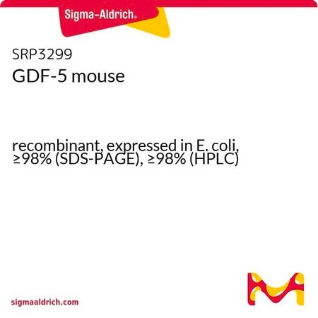 GDF-5 мышиный рекомбинантный, экспрессирован в E. coli